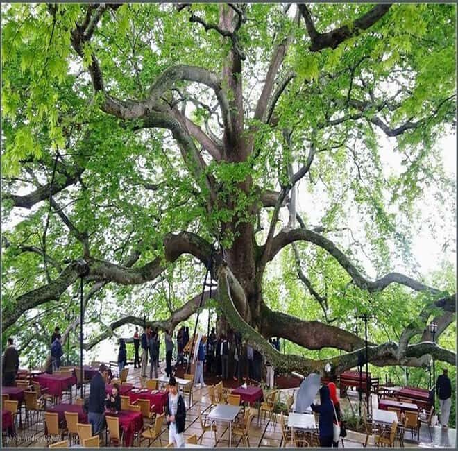 Private Bursa Tour: History, Nature & Culture from Istanbul - Private Bursa Tour: History, Nature & Culture from Istanbul