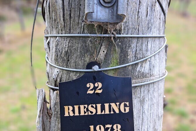 Private Canberra Winery Tour with lunch - Who Will Enjoy This Tour?