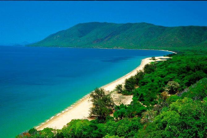 Private Cape Tribulation & Mossman Gorge Day Tour - Is It Worth the Price?