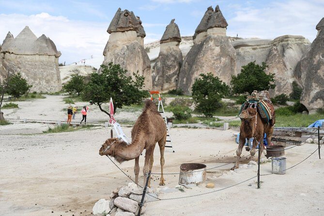 Private Cappadocia Tour w/Chimneys and Goreme Open Air Museum - Who Is This Tour Best For?
