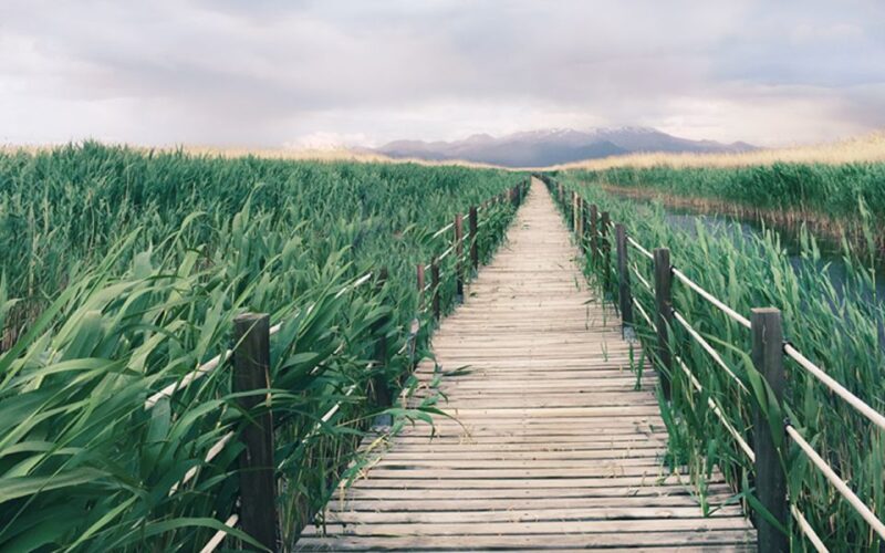 Private Cappadocia Underground City Visit(Car and Driver) - Who Should Consider This Tour?