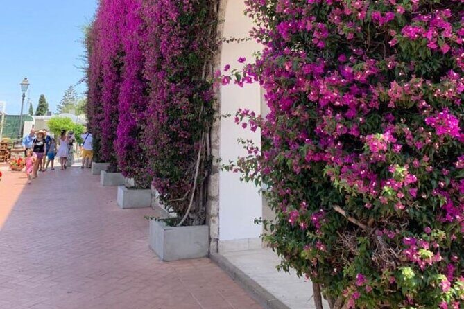 Private Capri and Blue Grotto Day Tour From Sorrento - Who Should Consider This Tour?