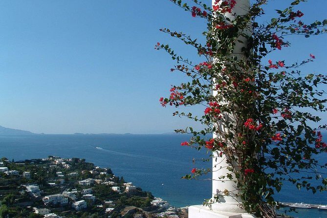 Private Capri Blue Grotto No Stress Tour With Kids From Naples - Who Should Consider This Tour?