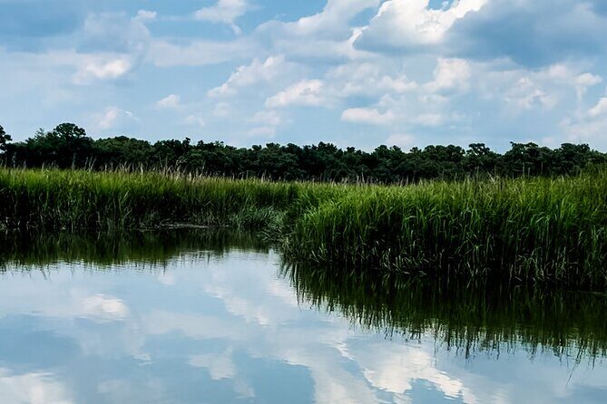 Private Captained Luxury Electric Boat Charter in Savannah - What to Expect from the Experience