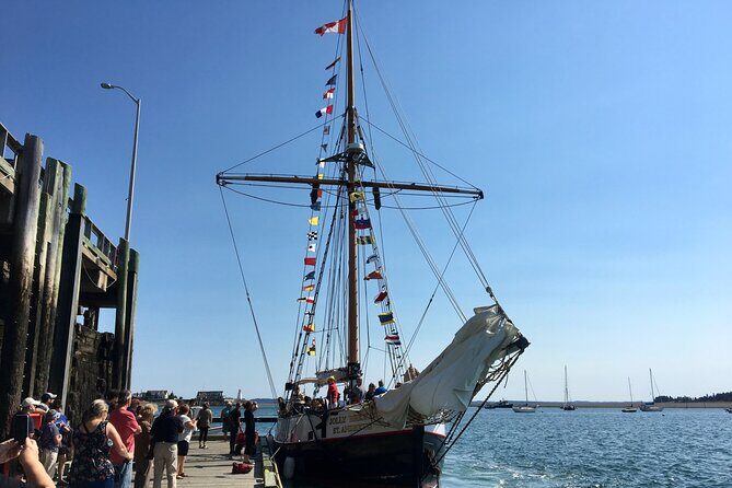 Private Car Service from Saint John to St. Andrews - What to Know Before Booking