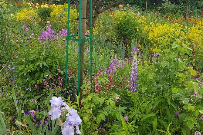 Private Car Trip to Giverny Garden from Paris - Who Will Enjoy This Tour?