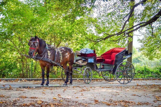 Private Carriage Ride in Vrelo Bosne Nature Park - Key Points