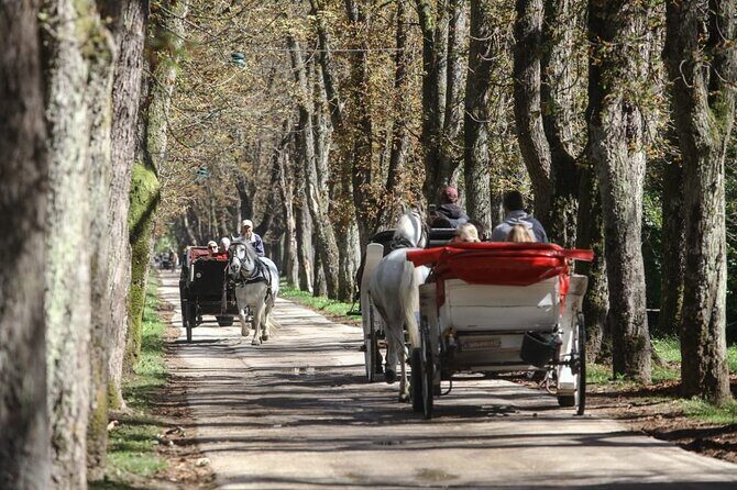 Private Carriage Ride in Vrelo Bosne Nature Park - What the Experience Means for You