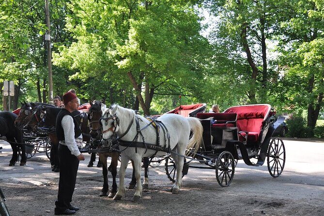 Private Carriage Ride in Vrelo Bosne Nature Park - Who Will Love This Tour?