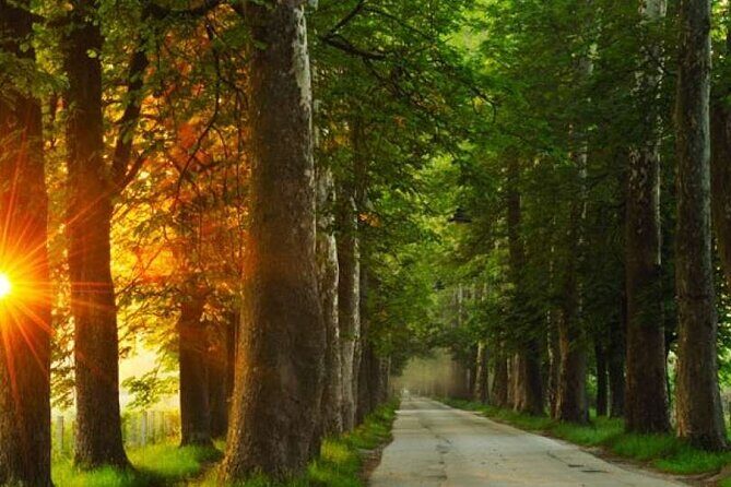 Private Carriage Ride in Vrelo Bosne Nature Park - Final Thoughts