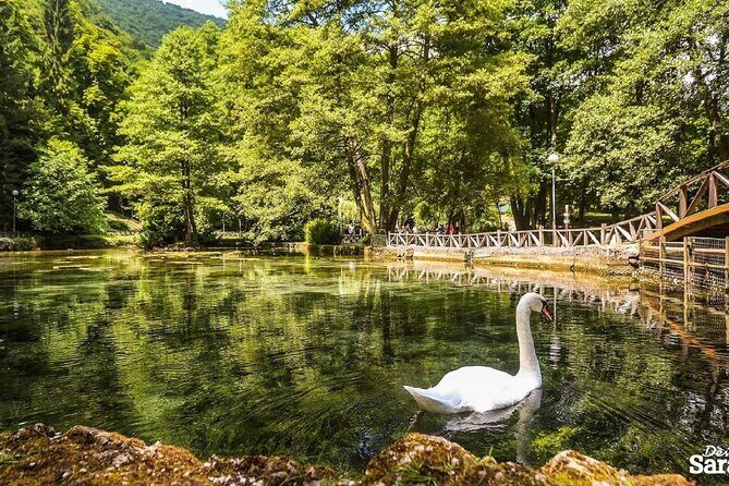 Private Carriage Ride in Vrelo Bosne Nature Park - Additional Tips