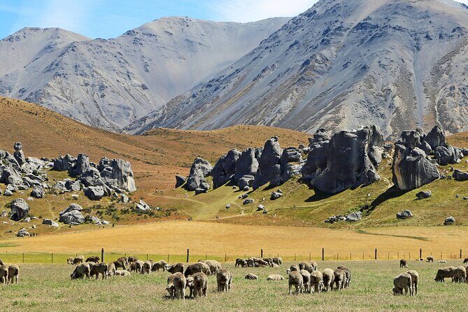 Private Castle Hill & Inland Canterbury Shore Excursion - Final Thoughts