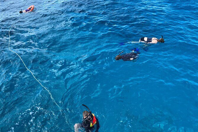 Private Catamaran Cruise and Snorkeling Tour in Honolulu - Practical Details: What You Should Know