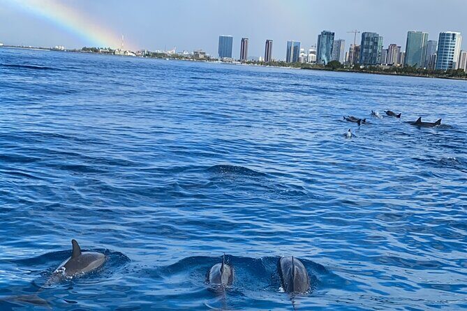 Private Catamaran Cruise and Snorkeling Tour in Honolulu - FAQ