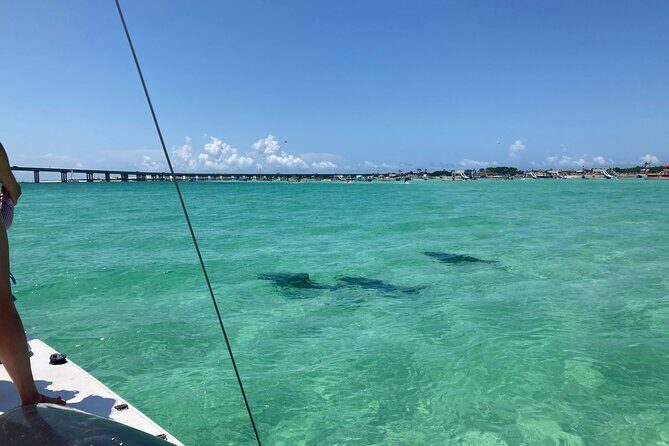 Private Catamaran: Snorkel, Swim and Dolphin Watching - Additional Info