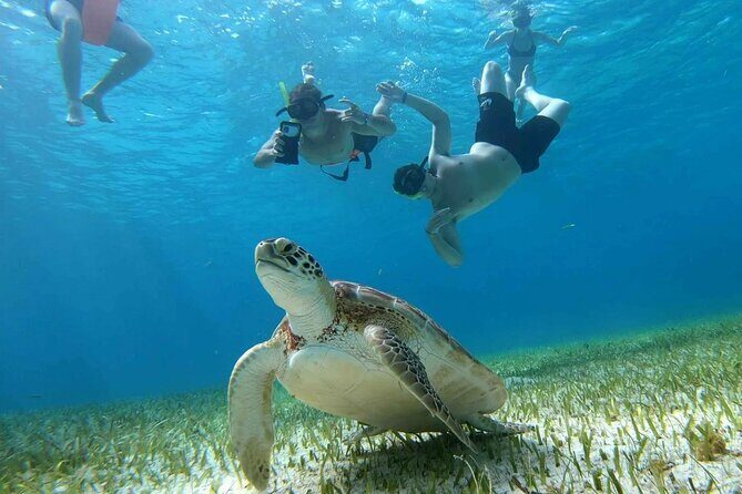 Private Catamaran Tour Charter Custom El Cielo and beach break - A Close Look at the Private Catamaran Tour in Cozumel