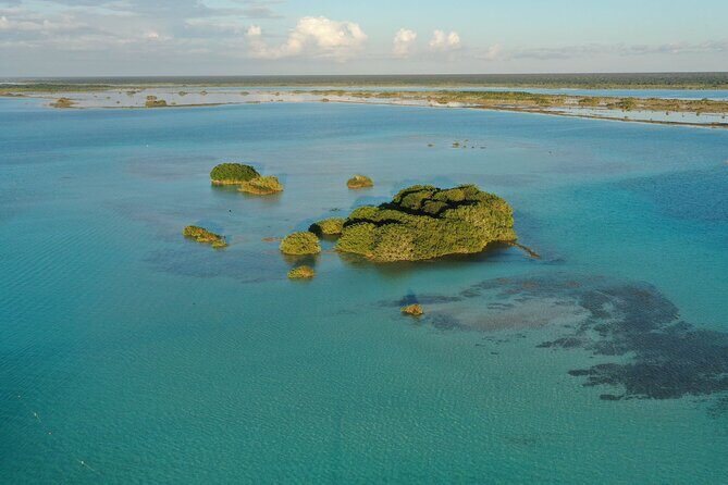 Private Catamaran Tour - Additional Resources