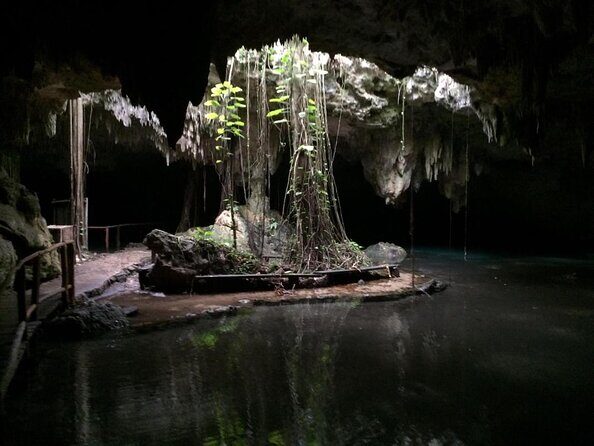 Private Cenote & Cave Playa del Carmen, Mayan Culture & Fossils - Key Points