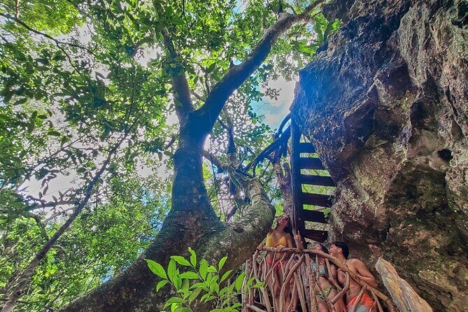 Private Cenote Experience, swim in the heart of the Mayan Jungle - An In-Depth Look at the Tour