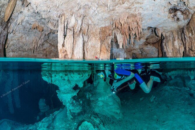 Private Cenote Snorkeling Tour Tulums Hidden Gems - Discover the Beauty of Tulum’s Cenotes