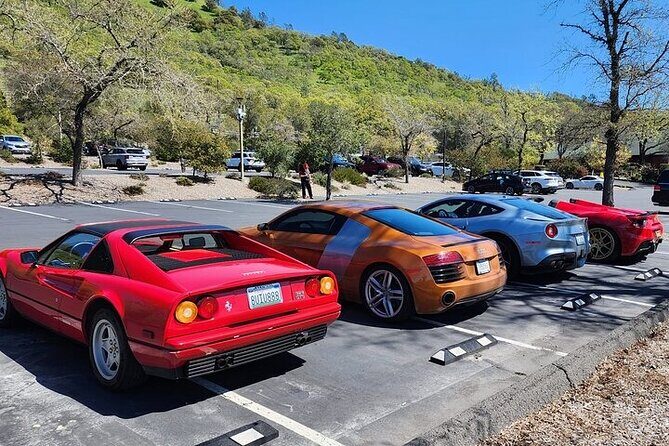 Private Champagne and Wine Tour to Sonoma and Napa - Things to Keep in Mind