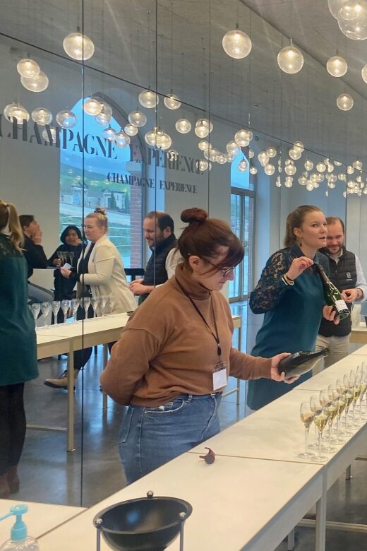 Private Champagne Moet Chandon, Pommery, Pressoria Day trip - Final thoughts