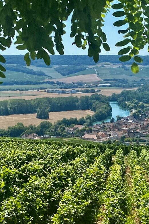 Private Champagne Moet et Chandon Veuve Clicquot by Mercedes - Wrapping Up: Return to Paris