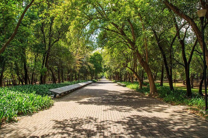 Private Chapultepec Park by Bike Guided Tour - FAQ