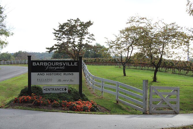 Private Charlottesville Area Wine Tour - What To Expect from the Charlottesville Private Wine Tour