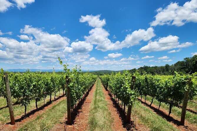 Private Charlottesville Area Wine Tour - Frequently Asked Questions