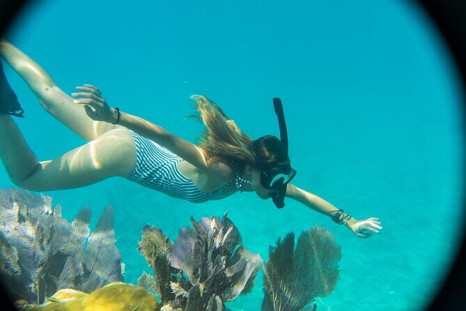 Private Charter 6 Passenger Sandbar, Snorkel, Dolphins - Why Travelers Rave About This Tour