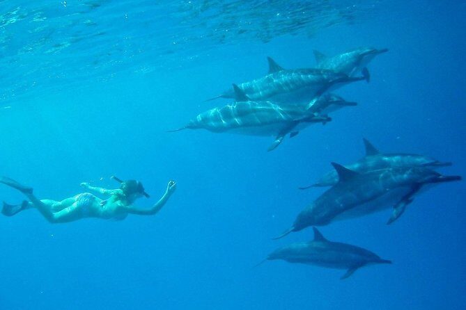 Private Charter: Customizable Big Island Boat Adventure - Who This Tour Is Best For