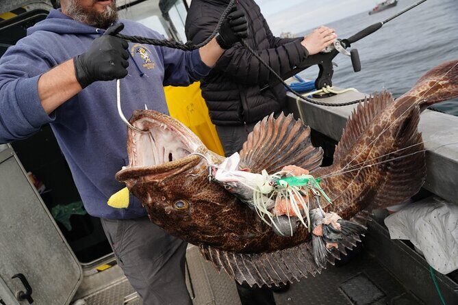 Private Charter Fishing - Full Port Time for Cruise Ship Guests - Exploring the Private Salmon Fishing Charter in Sitka: Is It Worth Your Time?
