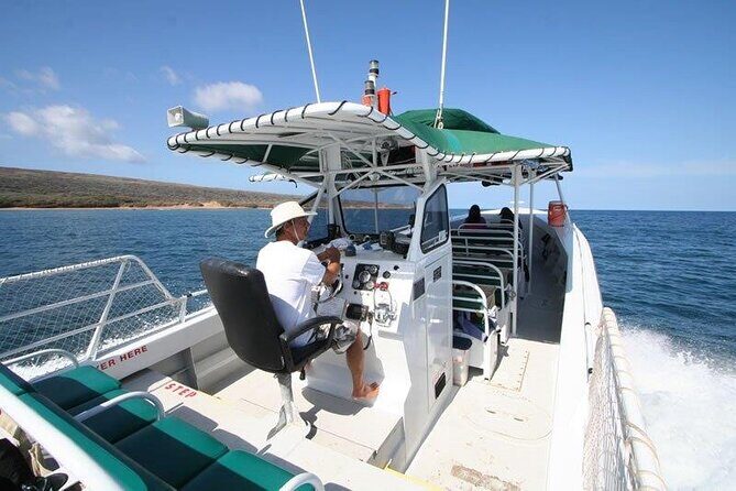 Private Charter Humpback Whale Watching & Dolphin Search - Why This Tour Might Be Perfect for You
