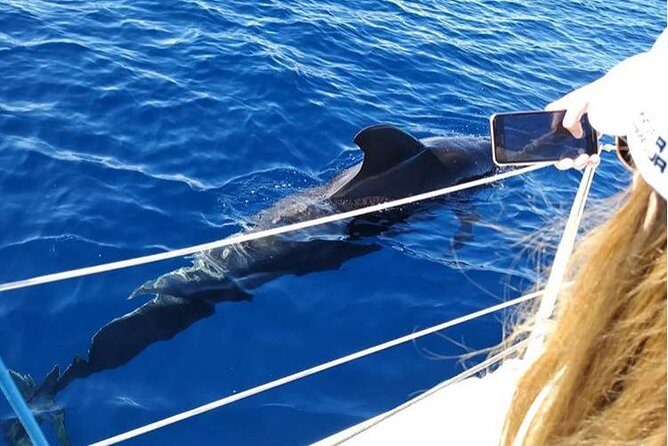 Private Charter in Tenerife south max 7 people - FAQ