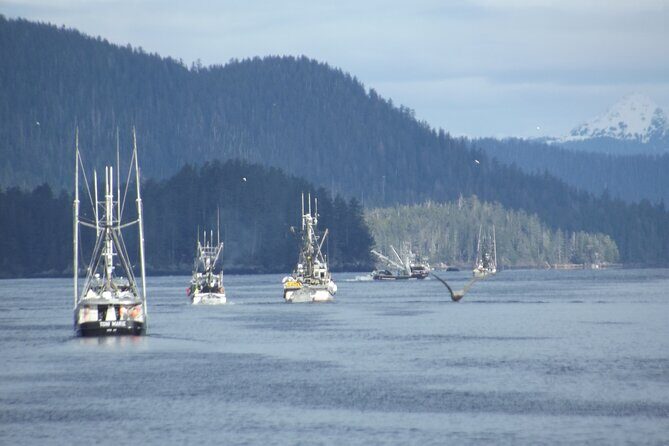 Private Charter Scenic Wildlife Excursion for Cruise Passengers - Final Thoughts: Is it Worth It?