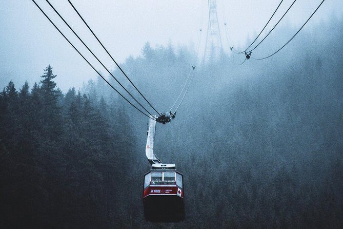 Private Charter Tour to Explore Vancouver and Surrounding Area - Pricing and Value