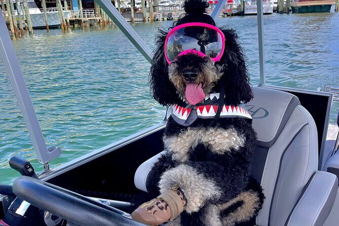 Private Chartered Luxury Pontoon Boat in Destin-Up to 6 Guests - What to Expect on the Day