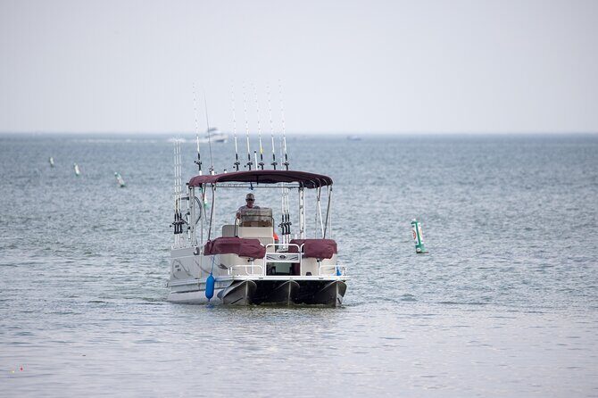 Private Charters on Saginaw Bay for Fishing or Birdwatching - Key Points