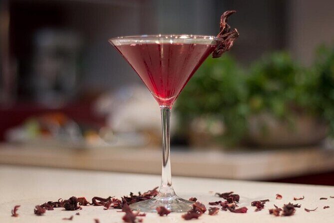 Private Chef Dinner & Mariachis - Final Thoughts