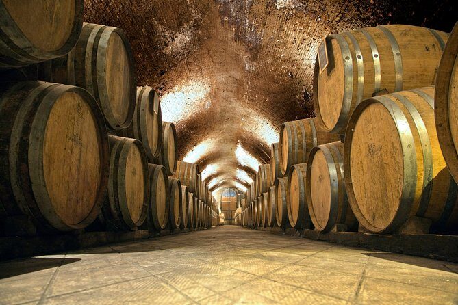 Private Chianti and SuperTuscan Tour 2 wineries with Light Lunch from Livorno - Who this tour is perfect for