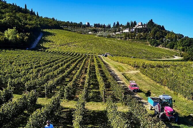 Private Chianti Tour and Wine Tasting - Price and Value Analysis
