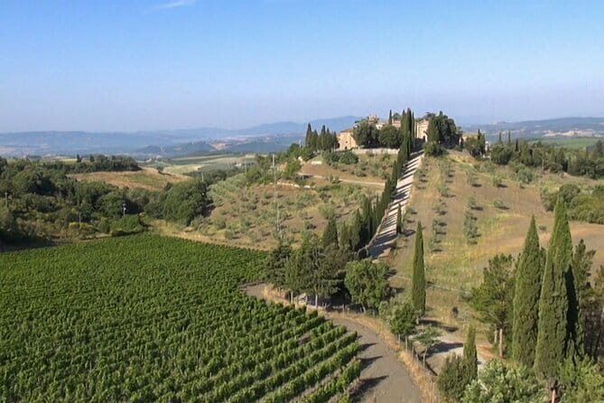 Private Chianti wine tour - Exploring the Heart of Chianti: What to Expect from the Tour