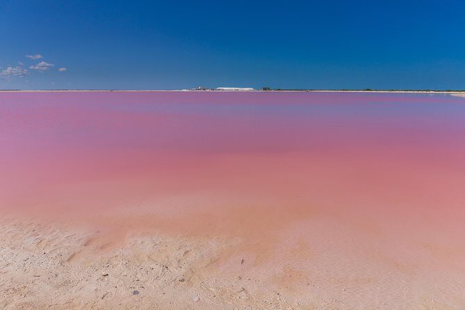 Private Chichen Itza, Cenote Ik Kil, Rio Lagartos & Las Coloradas - Getting to Know the Tour: An Overview