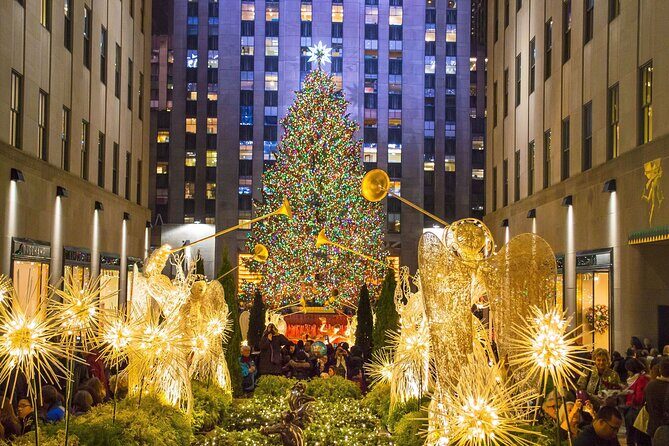 Private Christmas Lights Horse Carriage Tour In New York City - What to Expect from the Holiday Horse Carriage Tour