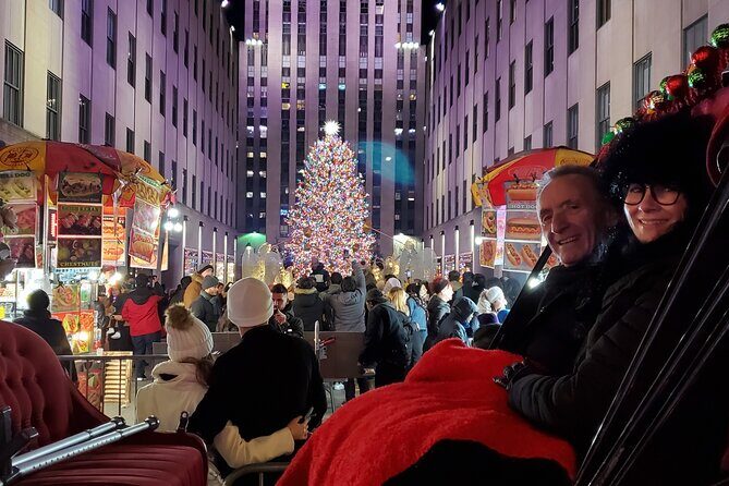 Private Christmas Lights Horse Carriage Tour In New York City - How the Tour Is Organized