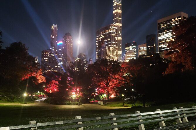 Private Christmas Lights Horse Carriage Tour In New York City - Final Thoughts