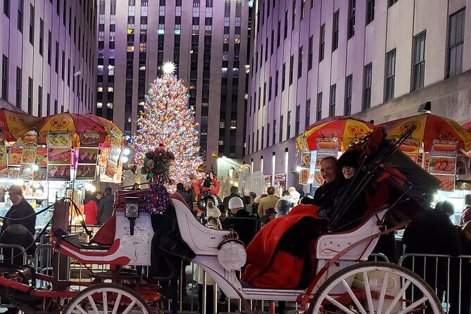 Private Christmas Lights Horse Carriage Tour In New York City - FAQ
