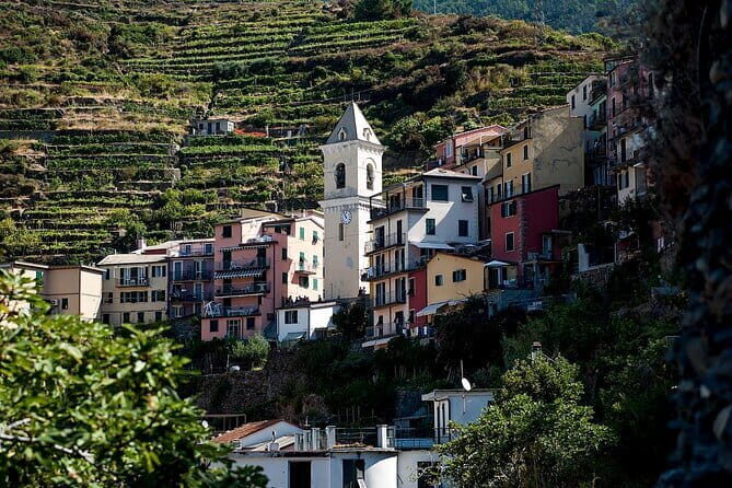 Private Cinque Terre Day Trip from Florence with Optional Hiking - What Makes This Tour Stand Out?