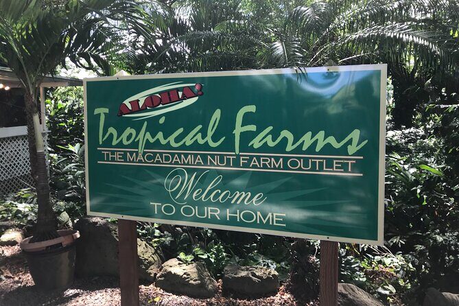 Private Circle Island Full Day up to 14 people (Se habla Español) - Final Thoughts